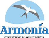 Armonia Bolivia