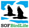 SOF-logo