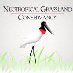 neotropical-grassland-conservancy-logo