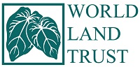 WLT_Green-logo-1024x507