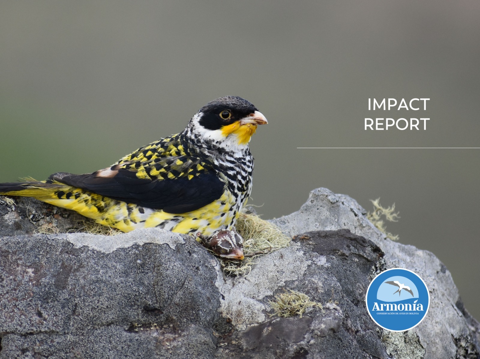 Annual Report Armonía