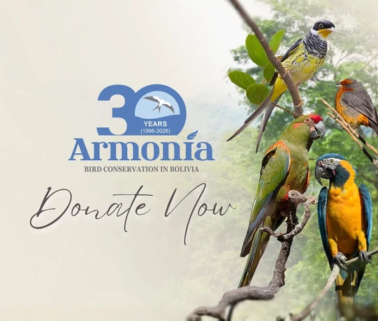 Donate-now-1.webp