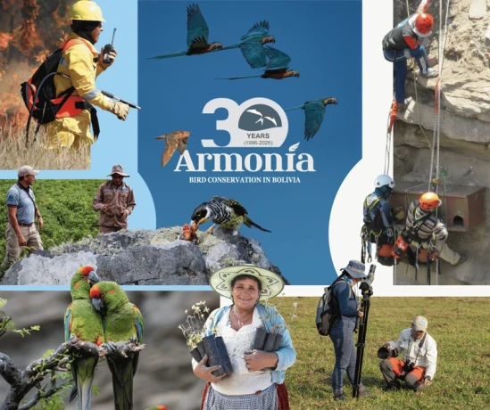Givebutter-Armonia-Bolivia.webp